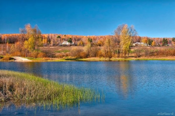 Природа Ульяновской области Волга