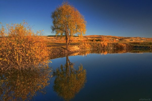 Природа Ульяновской области осень