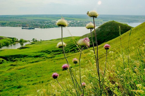 Природа родного края Ульяновская область