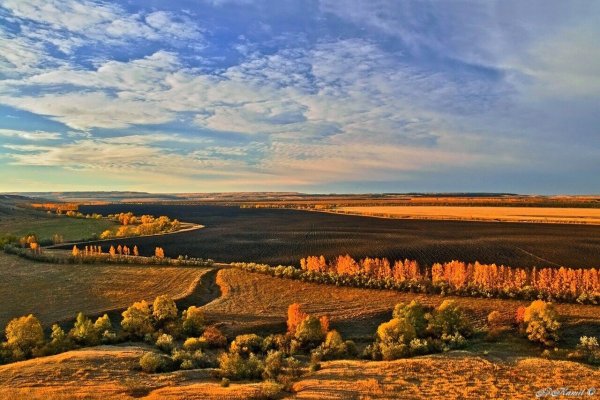 Равнины Ульяновской области