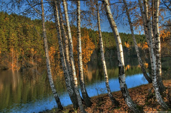 Природа Ульяновска и Ульяновской области