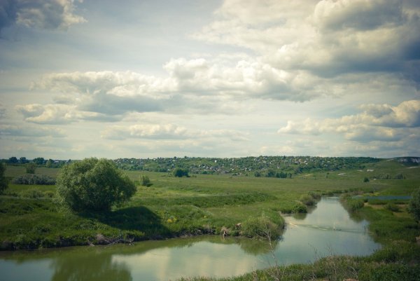 Лесные верховья реки Сенгилейки