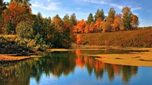 Сенгилей пейзаж