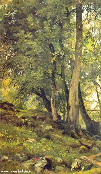 Лесной пейзаж Шишкин 1832-1898