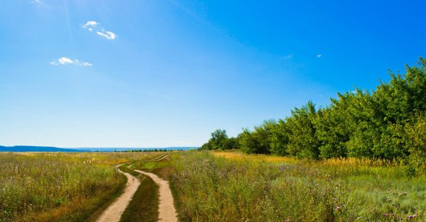 Природа Ульяновской области