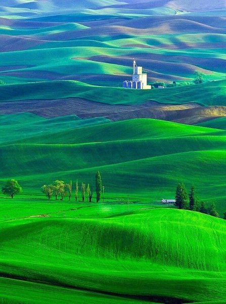 Красивый зеленый пейзаж