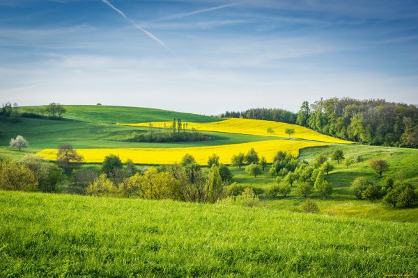 Родные просторы Пушгоры панорама