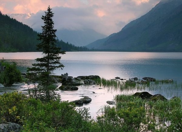 Заповедник АЗАС