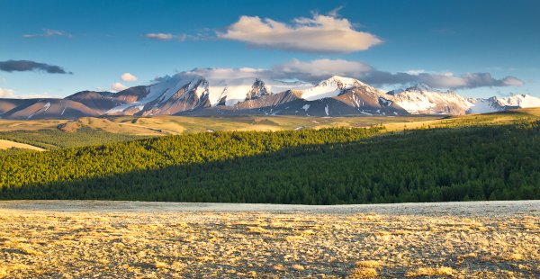 Монгун-Тайга гора