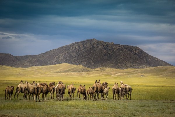 Республика Тыва природа