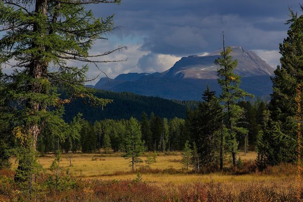 Убсунурская котловина Сибирская Тайга