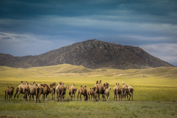 Республика Тыва природа