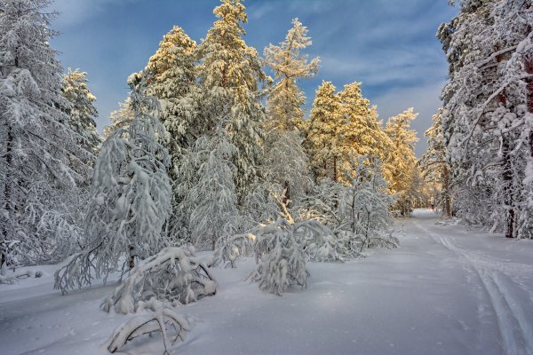 Урал зимние пейзажи Владимир Бормотов