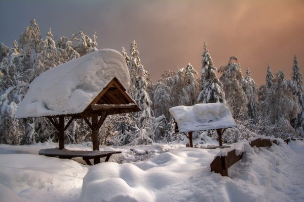 Столик в зимнем лесу