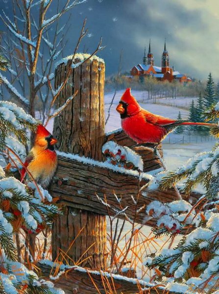 Kim Norlien картины