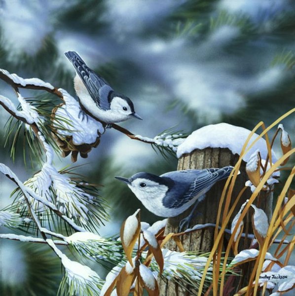 Майстренко Геннадий Снегири художник