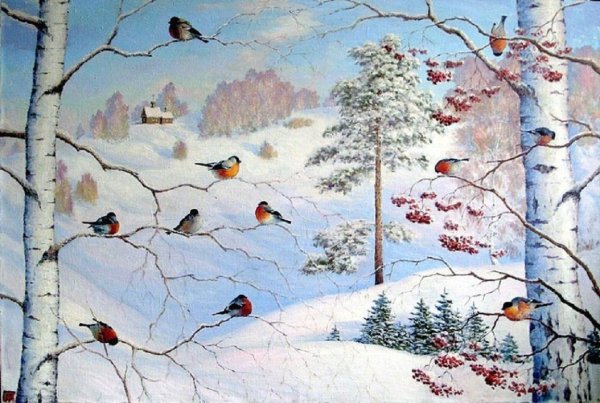 Зимние кардиналы