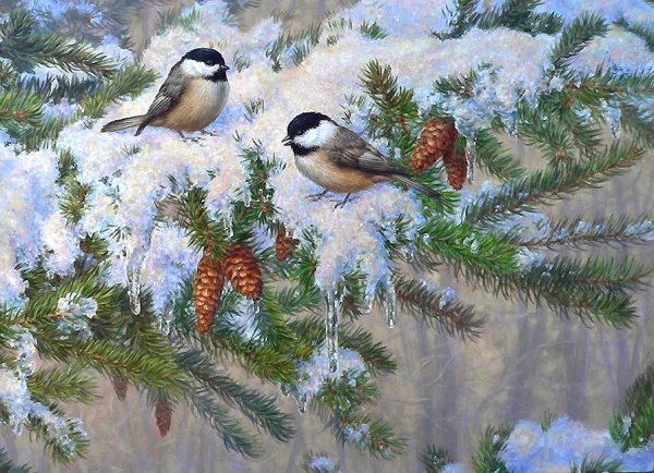 Елена Самойлик зимняя кормушка птиц