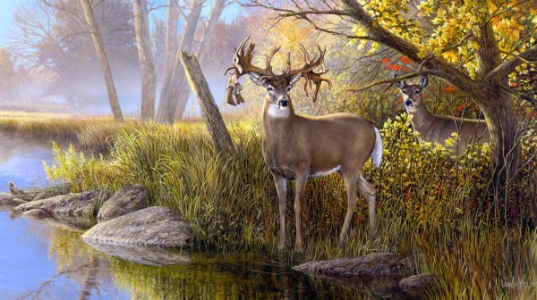 Пейзаж с оленем