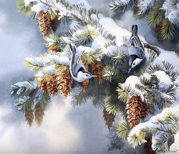 Картина птицы зимнего леса