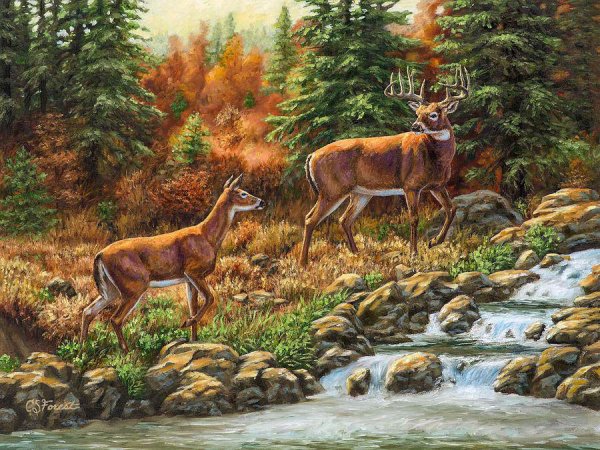 Художница Криста Форест