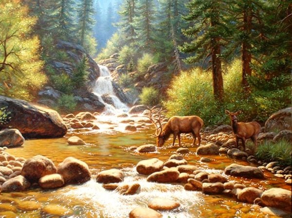 Художник Mark Keathley лес