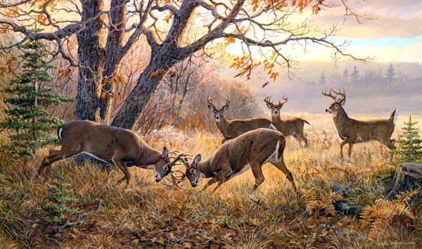 Карл Брендерс картины косуля