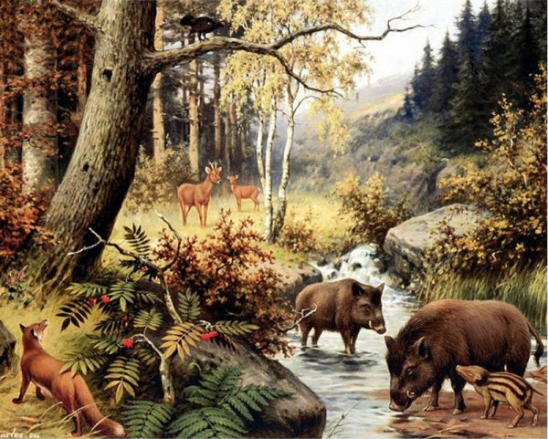 Лес с дикими животными