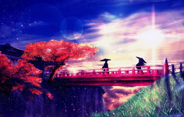 Сакура на закате