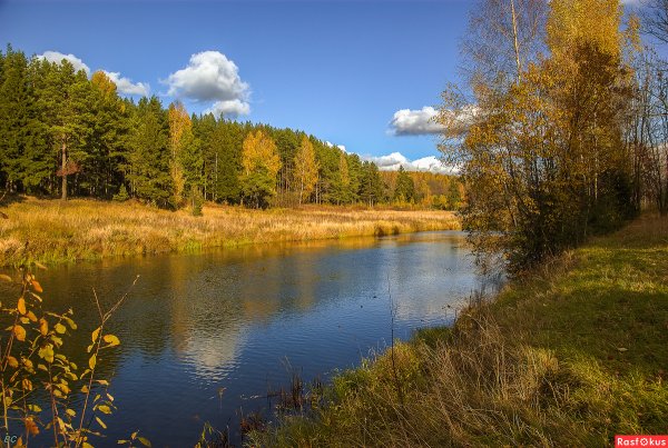 Река Покша Кострома
