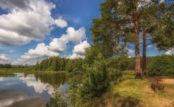 Кострома природа Кострома