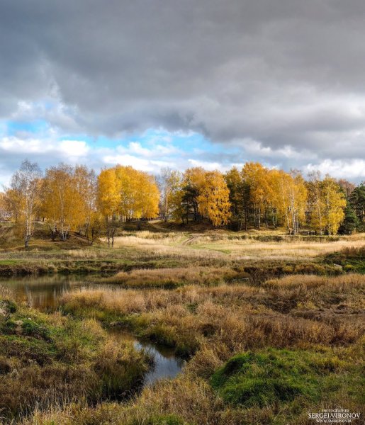 Река Нерехта Костромской области