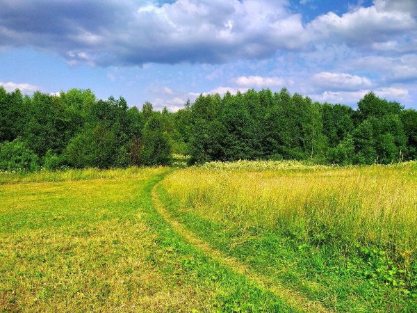 Природа Костромы и Костромской области