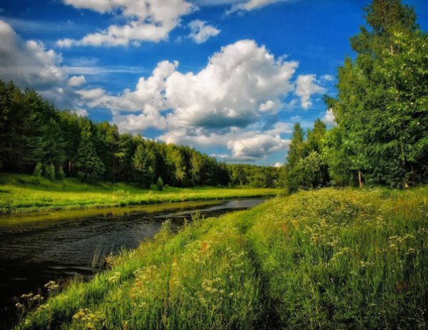 Большое Андрейково Костромская область