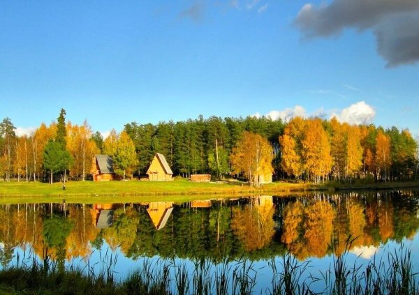 Природа Костромской области