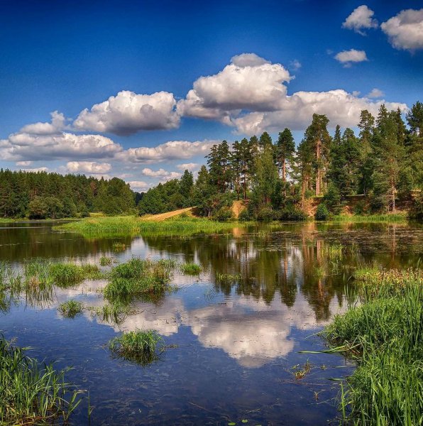 Сосновый Бор Костромская область