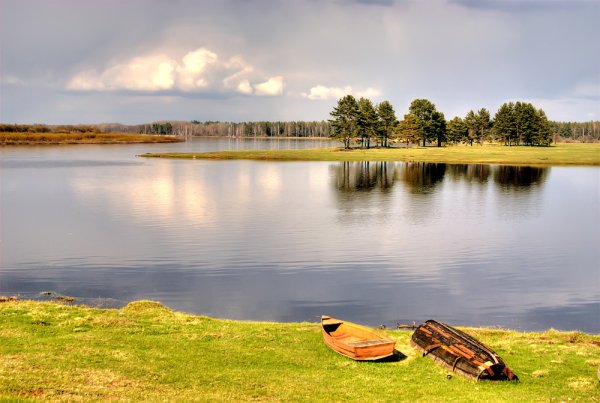 Природа Костромы и Костромской области