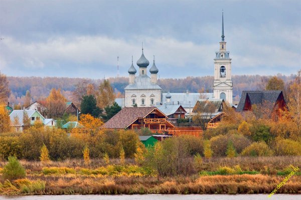 Борщино Костромская область