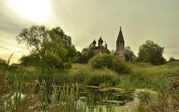 Деревня Дьяково Нерехтский район