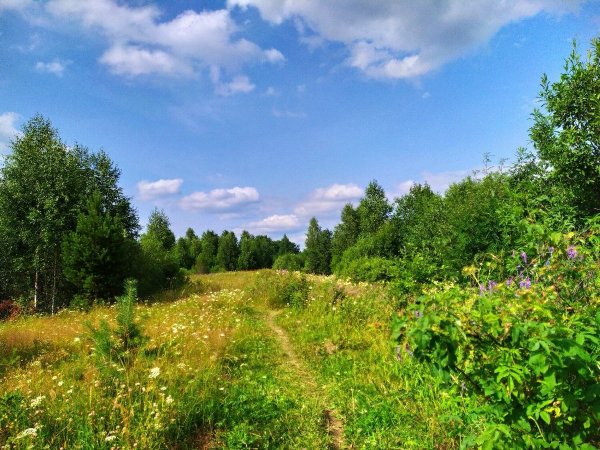 Кострома Костромская обл.