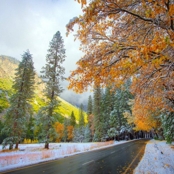 Снежная осень