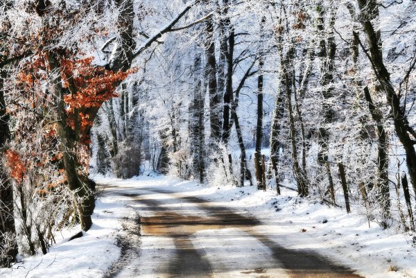 Ранняя зима