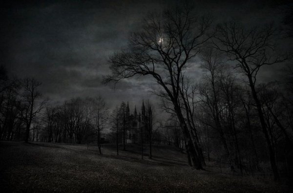 Мрачный лес