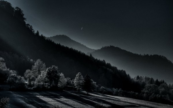 Темный пейзаж