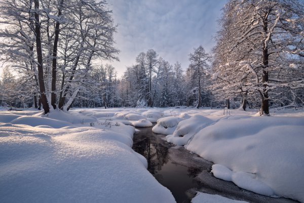 Красивая зима