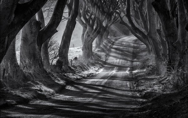 Таинственные пейзажи