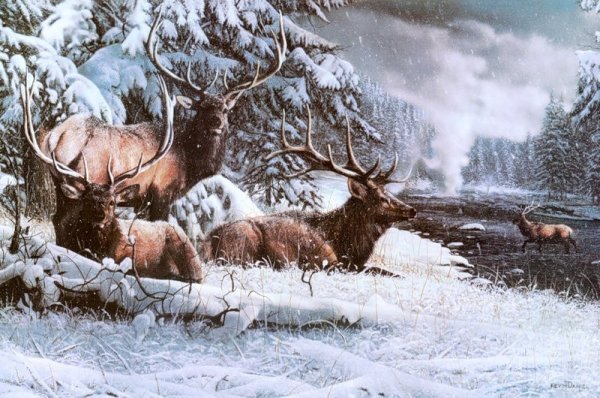 Зима в лесу Лось