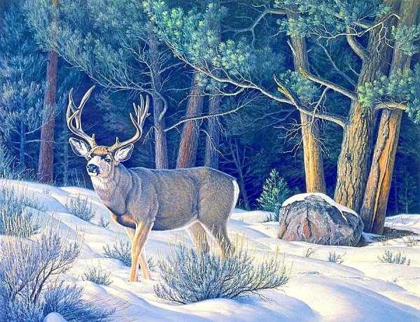 Художник Paul Krapf.