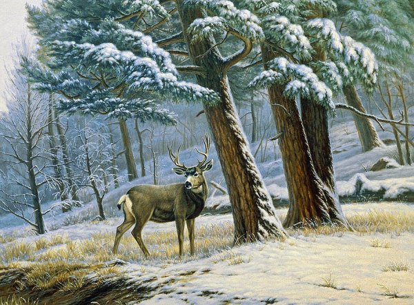 Пауль Крапф художник