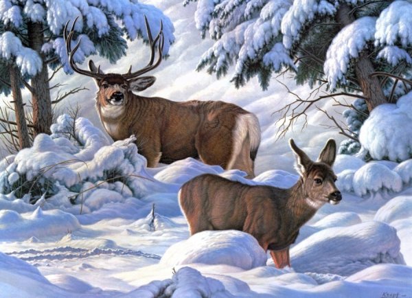 Художник-анималист Пауль Крапф